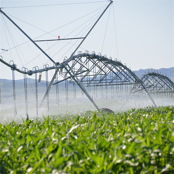 Sustainable farming practices with central pivot irrigation.