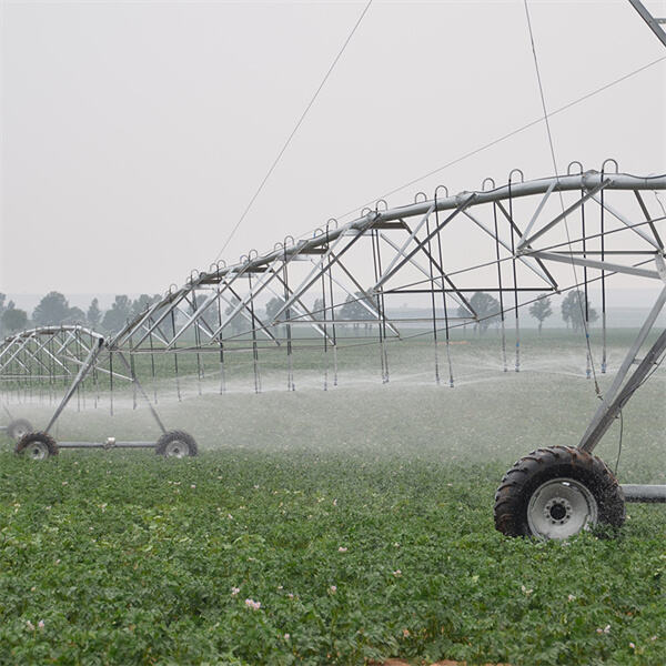 A Look at the Impact of Center Pivot Agriculture on Food Production