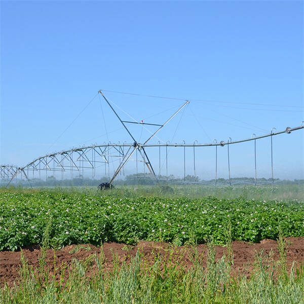 Precision Watering Techniques for Optimal Crop Growth