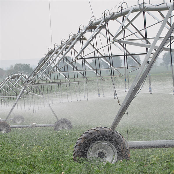 The Role of Center Pivot Agriculture