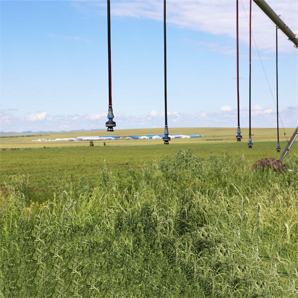Enhance your agricultural operation with a new irrigation pivot for sale
