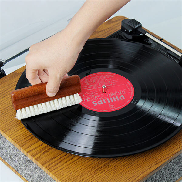 Prolunga la vita dei tuoi dischi in vinile con un pennello per dischi delicato ma efficace