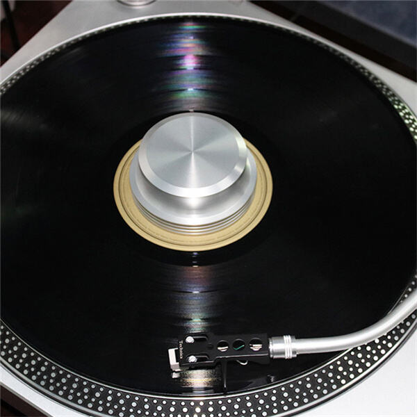 Schütze deine wertvolle Vinylsammlung mit einem Plattensicherer