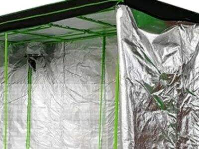 Hidroponik Tente İçin Sahip Olmanız Gereken En İyi Aksesuarlar