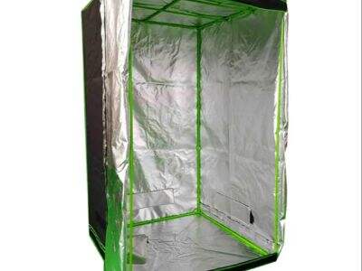 Top 10 Plant Grow Tents for Indoor Gardening in 2025