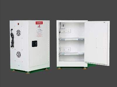 What Makes Lithium Storage Cabinets Suitable for Automotive Warehouses