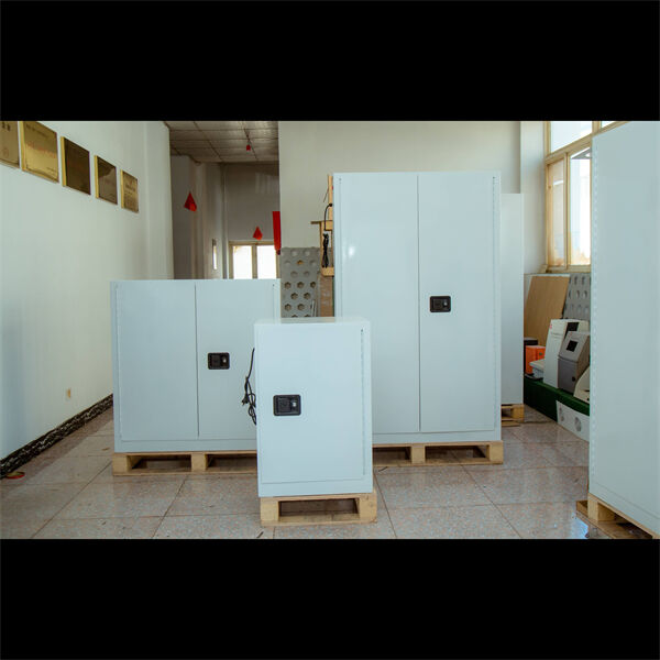 独自のエネルギー需要に合わせたカスタマイズされたソーラーバッテリー収納キャビネット