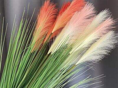 I migliori colori dell'erba pampas finta per abbinarsi al tuo stile