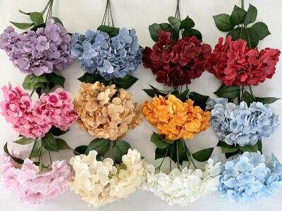 Décorations murales d'hortensia : Une tendance croissante dans les espaces modernes