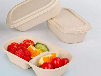 なぜ弁当箱が摂取量の管理と品数豊かさにおいて最適なのか