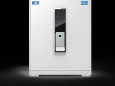 Maximizing Security: Economical Safes for Business