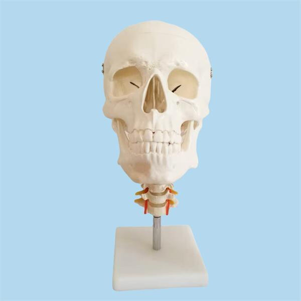 High-quality material ensures durability and longevity