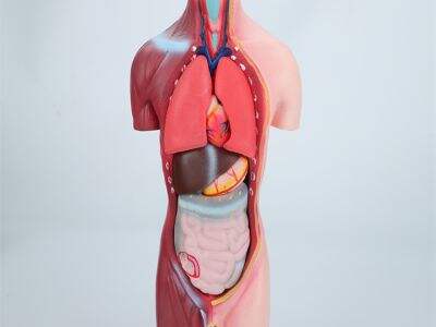 Affordable Physics Kits for Developing STEM Programs in Schools