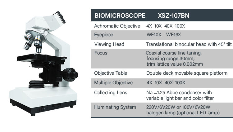 product 2025 new xsz 107bn laboratory binocular biological compound microscope scanning electron microscope-56