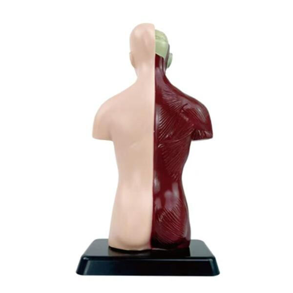 Enhance Patient Care with Our Top-Notch Biomedical Equipmen