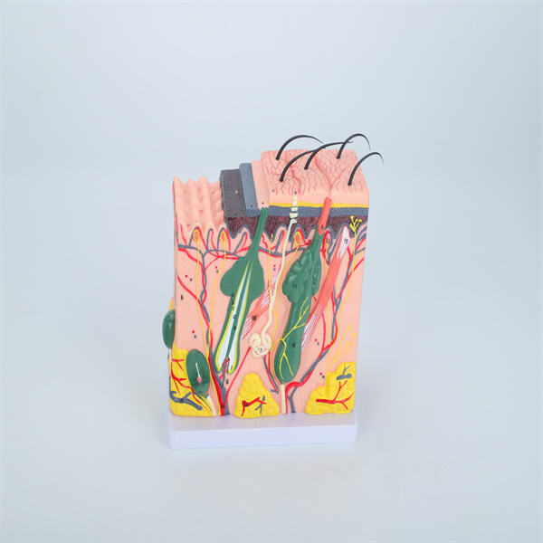 Benefits and limitations of 3D printing in medical modeling