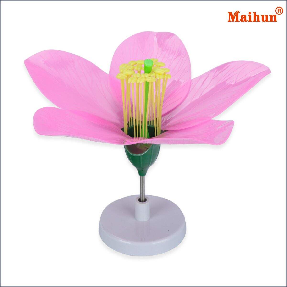 Where to Source Affordable Peach Blossom Model Products for Resale?