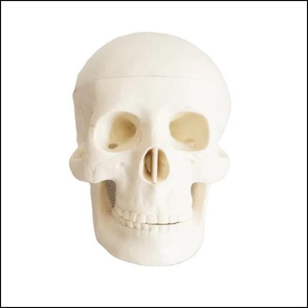 Durable materials for long-lasting use in medical settings