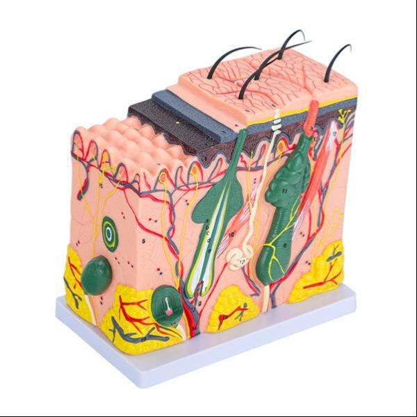 High-quality 3D printed models for pre-surgical planning