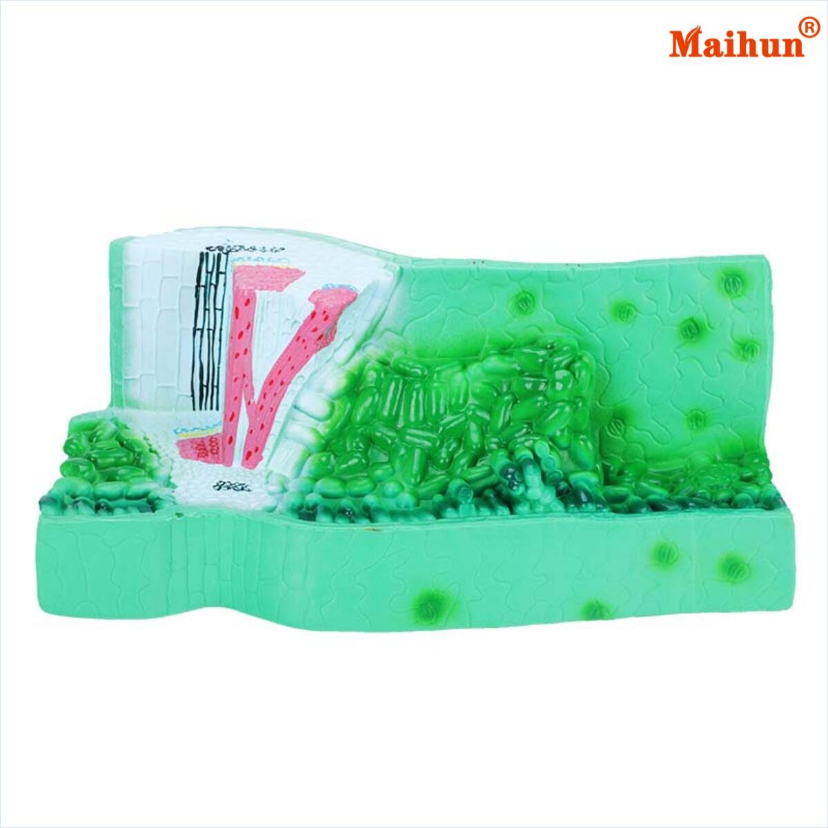 How Does the Leaf Structure Model Enhance Product Quality?