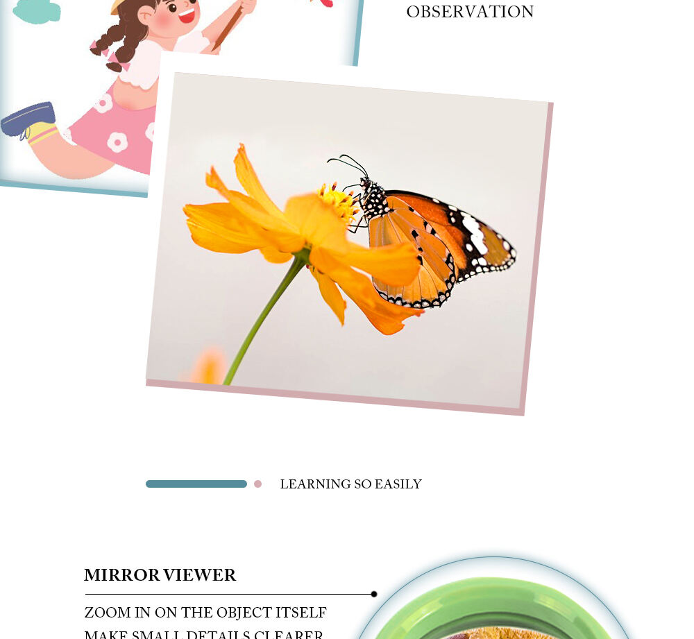 product cheap price outdoor toys insect catching observer 5x bug catcher magnifier insect observation box for kids-3