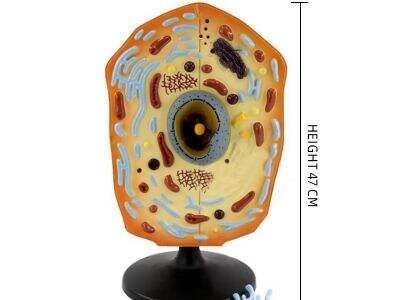 Custom Packaging Solutions for Educational Science Kits Exporters