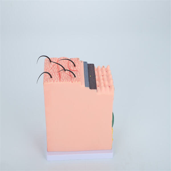 The importance of accuracy in medical modeling