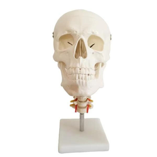 Affordable wholesale prices for bulk orders