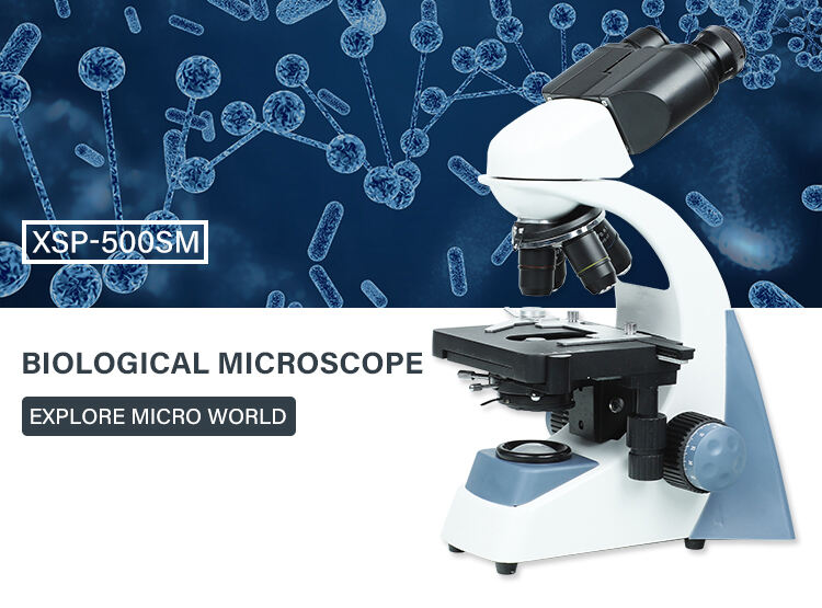 product 2025 new xsp 500sm laboratory binocular biological compound microscope scanning electron microscope-55