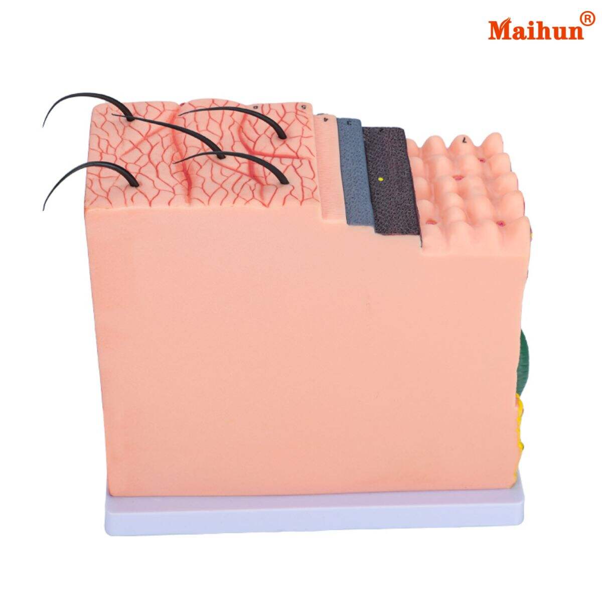 Where to Source Affordable 3D Skin Models for Resale