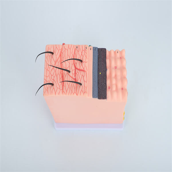 Exploring the future of medical models in healthcare