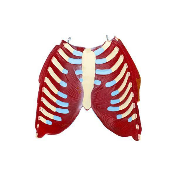 Stay ahead of the competition by offering cutting-edge educational tools in your curriculum