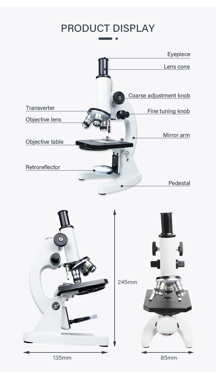 product 2025 high sales xsp 02 biological microscope for laboratory research scanning electron microscope-58