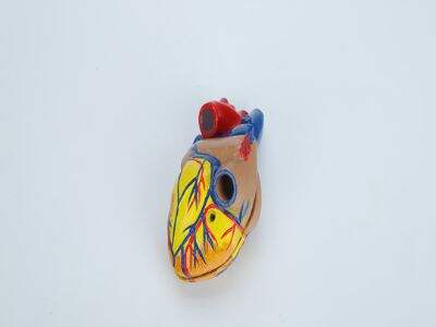 Why Educational Suppliers Are Investing in General Science Kits