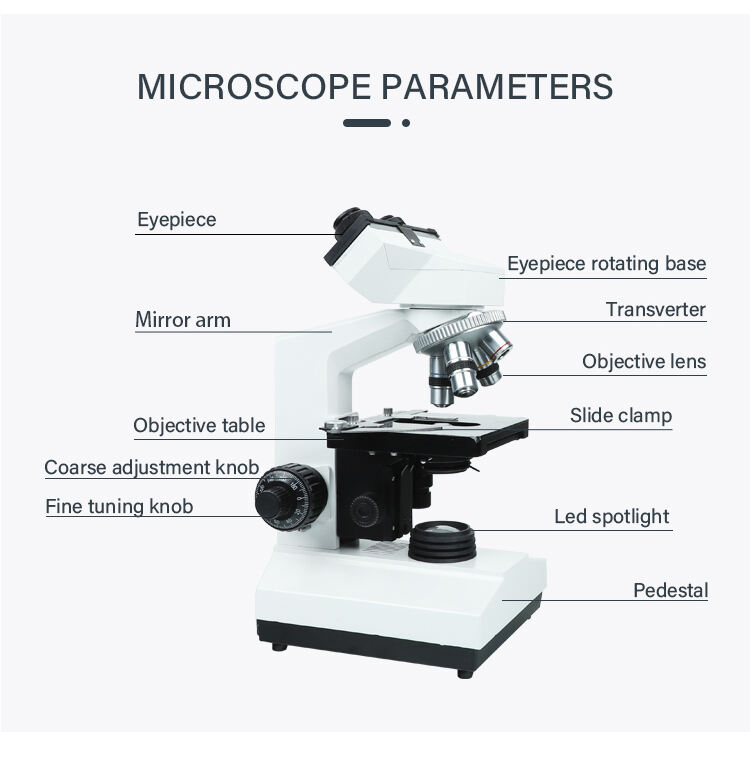 product 2025 new xsz 107bn laboratory binocular biological compound microscope scanning electron microscope-57