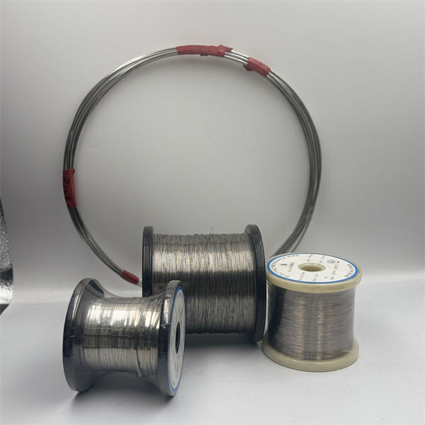 Future Trends in the Development and Use of Fe-Cr-Al Alloys.