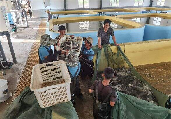 Tungkol sa eWater Aquaculture Equipment Technology Limited