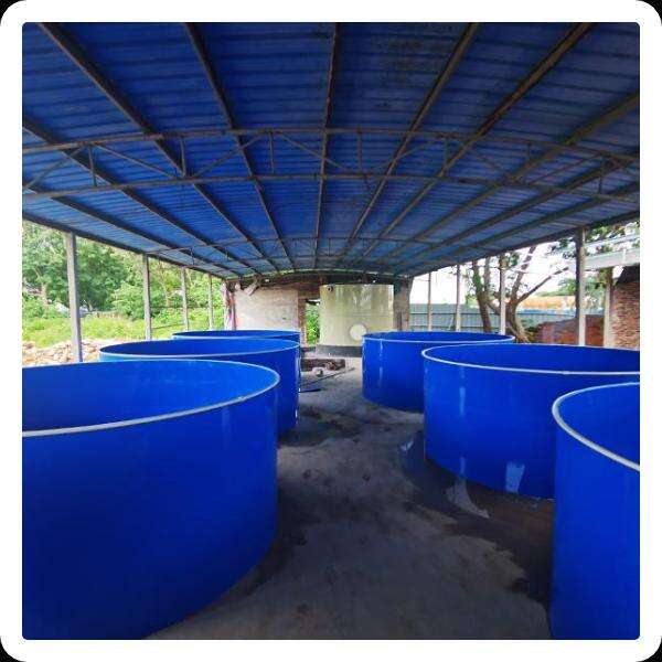 Pagpapabuti ng Kalusugan ng Isda gamit ang Drum Filter Filtration sa Aquaculture