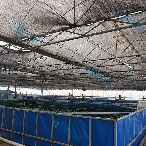 Innovation in Shrimp RAS System: