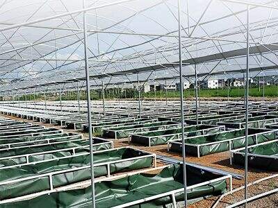 Akvakultúrás rendszerterv kereskedelmi élelmiszer- és haltermeléshez