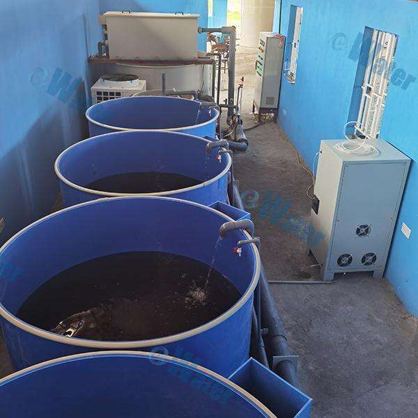 Safety of Recycling Aquaculture System