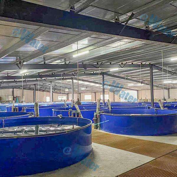 RAS System Aquaculture Safety & Speed