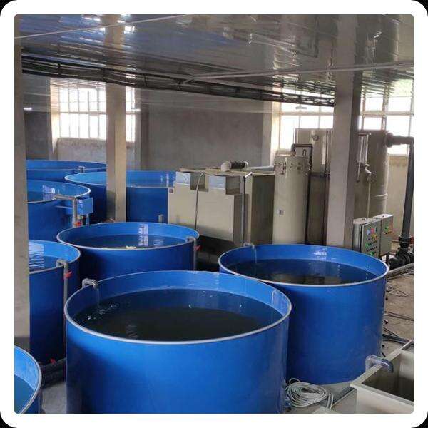 Ras Fish Farming Equipment Inovation