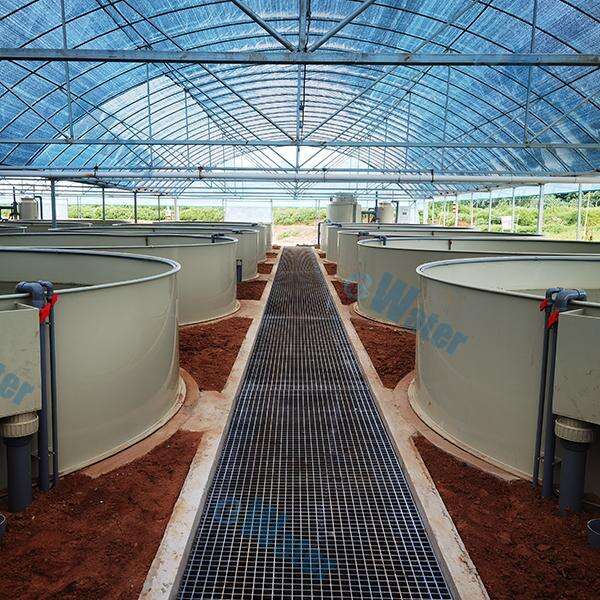 Safety and Use of RAS