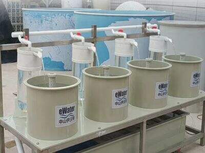 What to Consider When Designing a Fish Hatchery System