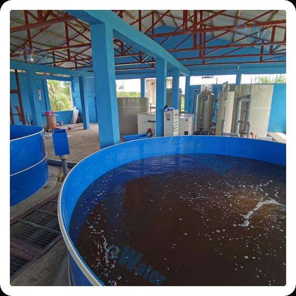 Maximiser l'efficacité avec des systèmes d'aquaculture fermés