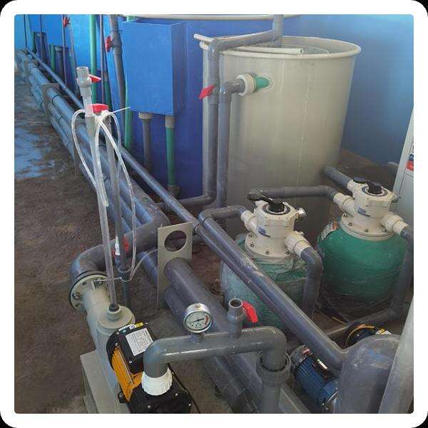 Innovation in Aquaculture Tools and Equipment