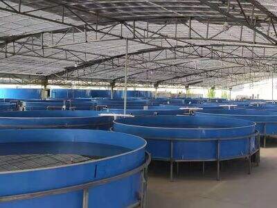 Best 5 recirculated aquaculture system Supplier in Poland