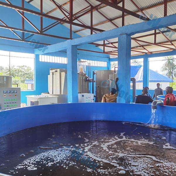 Tilapia Hatchery: Service and Quality Standards