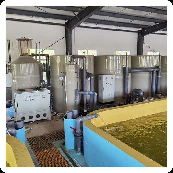 Ras System Aquaculture Equipment